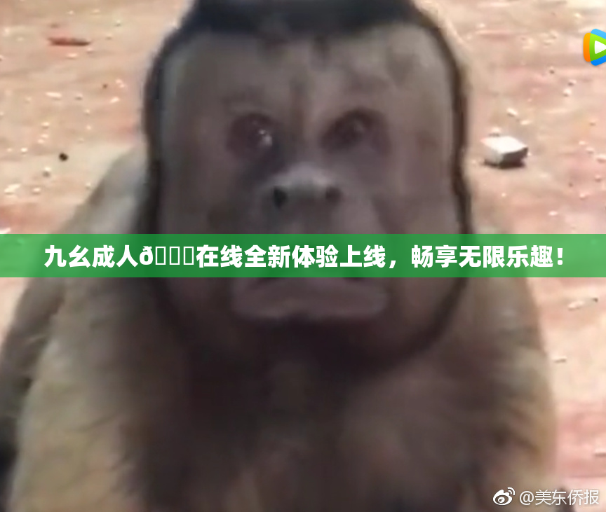 九幺成人🔞在线全新体验上线，畅享无限乐趣！