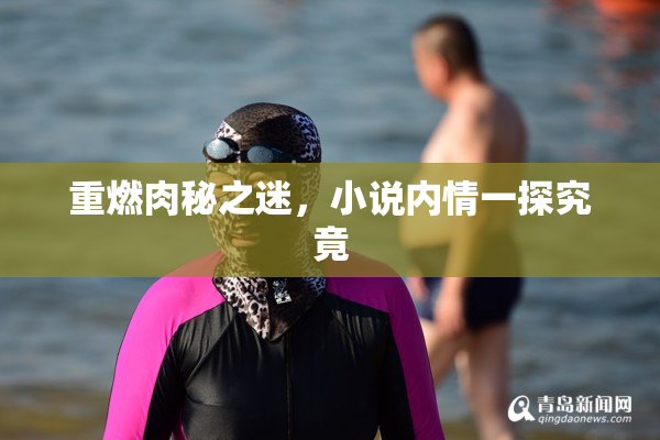 重燃肉秘之迷，小说内情一探究竟