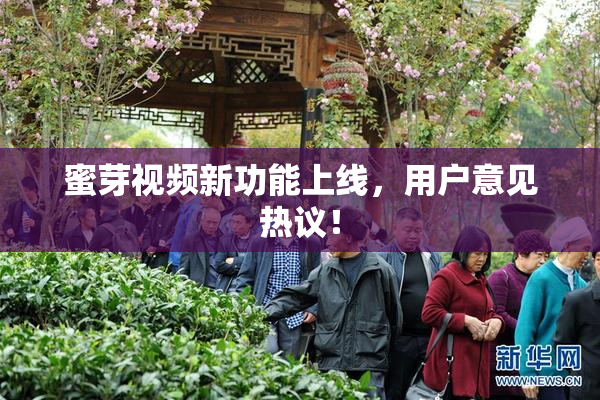 蜜芽视频新功能上线，用户意见热议！
