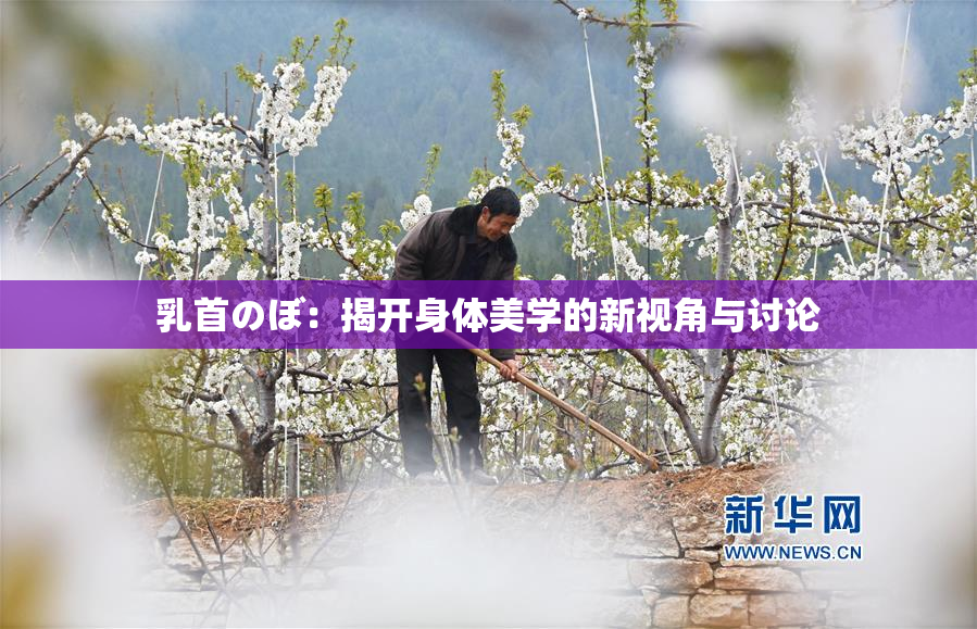 乳首のぼ：揭开身体美学的新视角与讨论