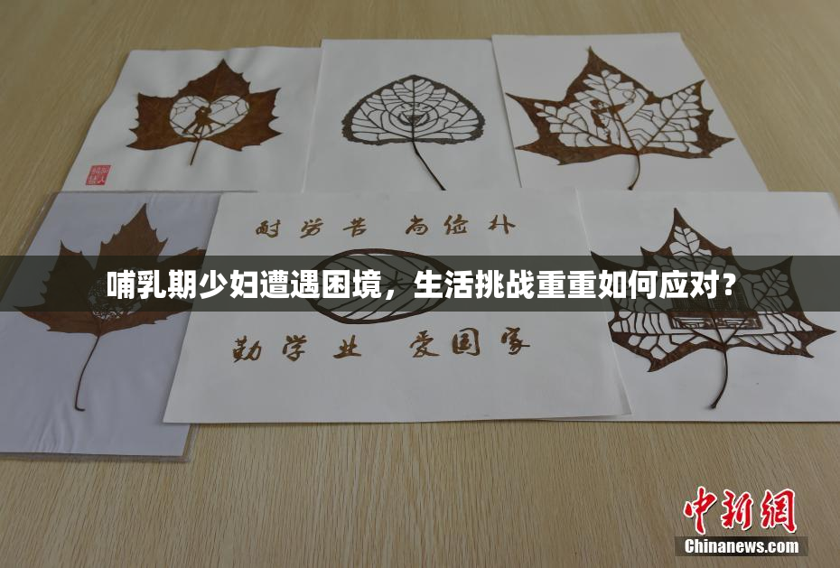 哺乳期少妇遭遇困境，生活挑战重重如何应对？