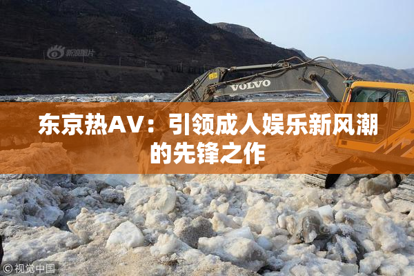 东京热AV：引领成人娱乐新风潮的先锋之作