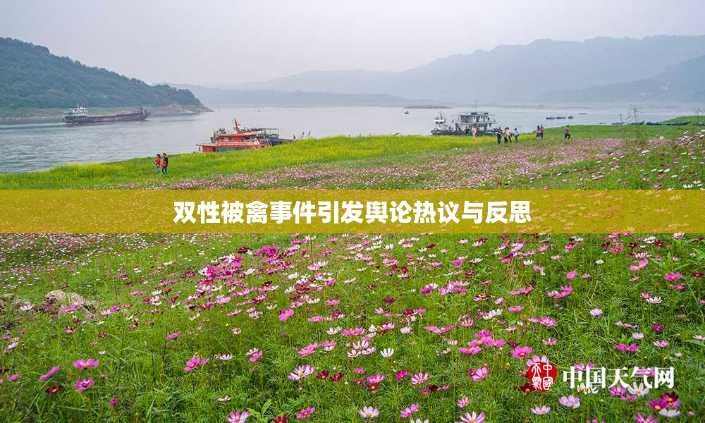 双性被禽事件引发舆论热议与反思