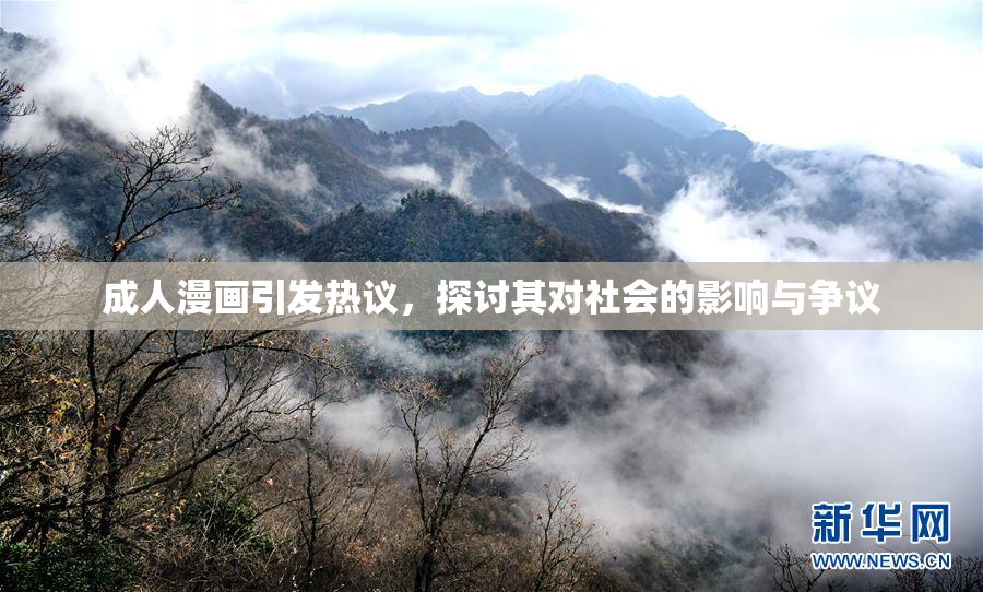 成人漫画引发热议，探讨其对社会的影响与争议