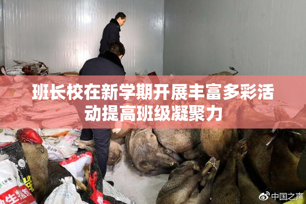 班长校在新学期开展丰富多彩活动提高班级凝聚力