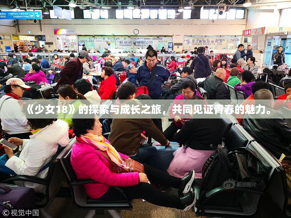 《少女18》的探索与成长之旅，共同见证青春的魅力。