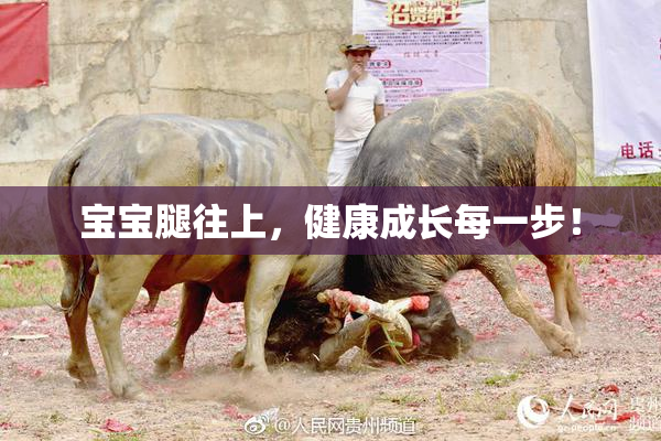 宝宝腿往上，健康成长每一步！