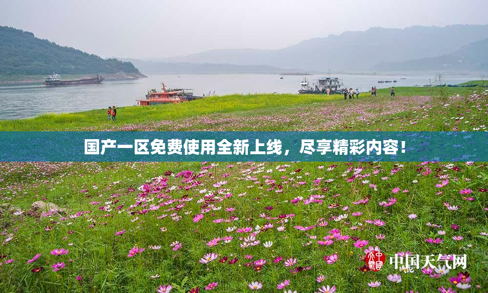 国产一区免费使用全新上线，尽享精彩内容！