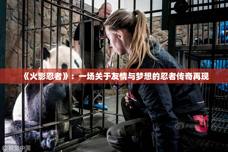 《火影忍者》：一场关于友情与梦想的忍者传奇再现