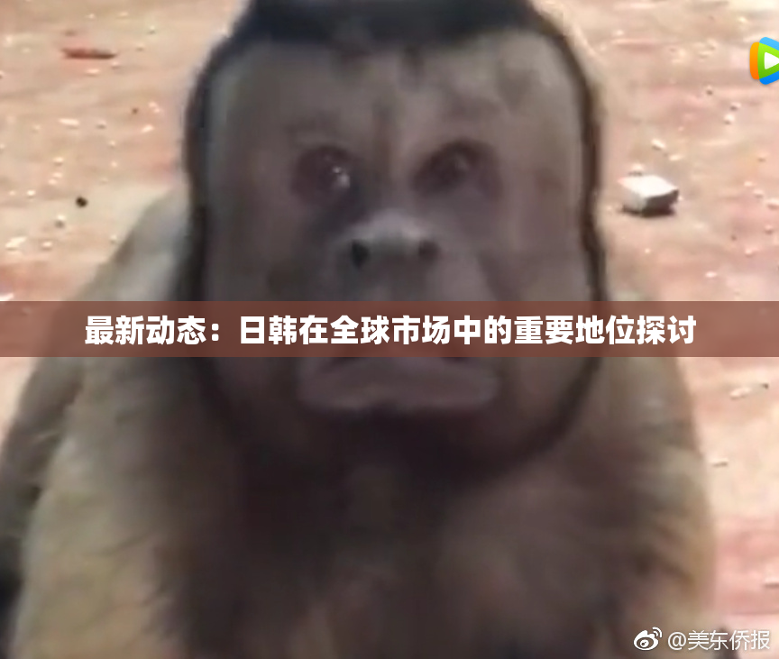 最新动态：日韩在全球市场中的重要地位探讨
