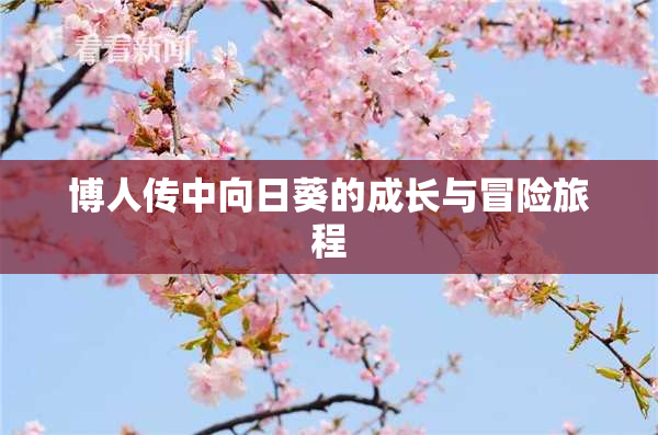博人传中向日葵的成长与冒险旅程