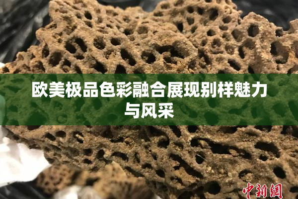 欧美极品色彩融合展现别样魅力与风采