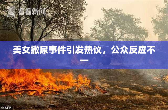美女撒尿事件引发热议，公众反应不一