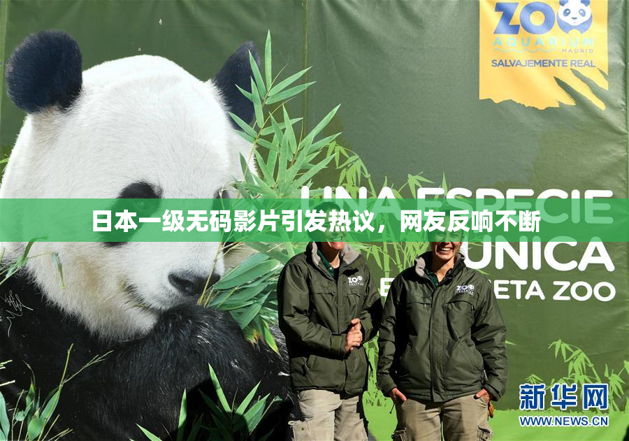 日本一级无码影片引发热议，网友反响不断