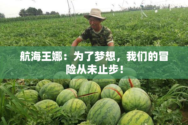 航海王娜：为了梦想，我们的冒险从未止步！
