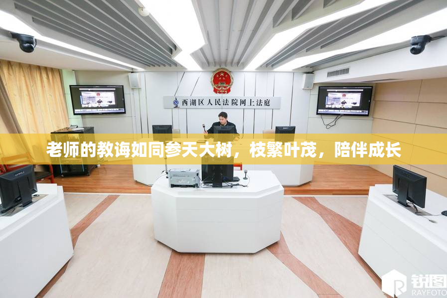 老师的教诲如同参天大树，枝繁叶茂，陪伴成长