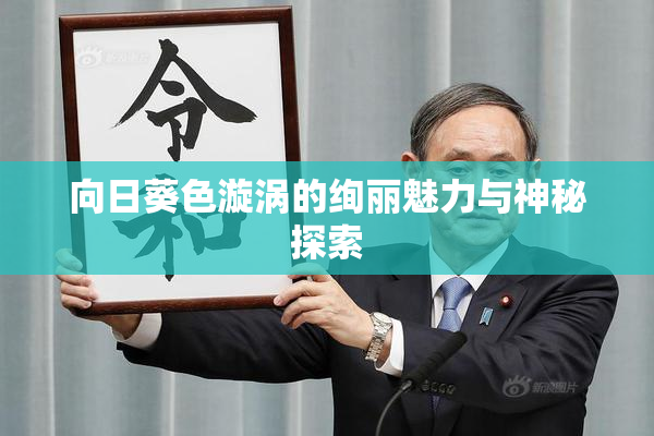 向日葵色漩涡的绚丽魅力与神秘探索