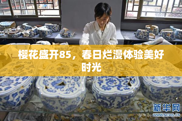 樱花盛开85，春日烂漫体验美好时光
