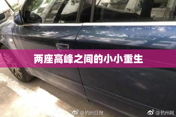 两座高峰之间的小小重生