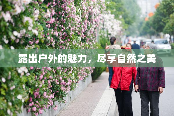 露出户外的魅力，尽享自然之美