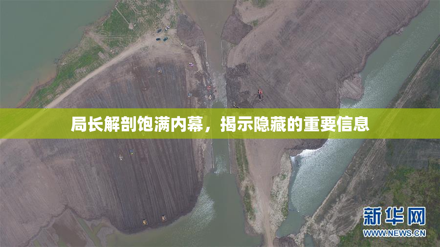 局长解剖饱满内幕，揭示隐藏的重要信息