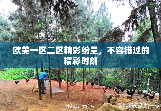 欧美一区二区精彩纷呈，不容错过的精彩时刻