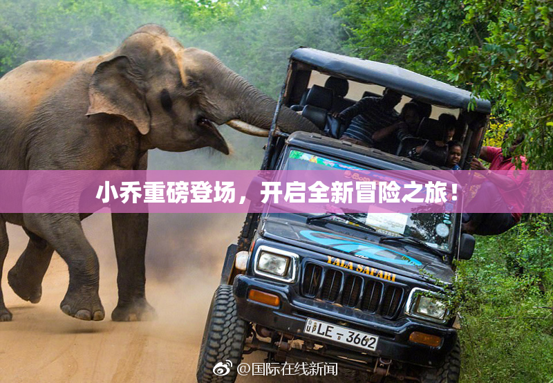 小乔重磅登场，开启全新冒险之旅！