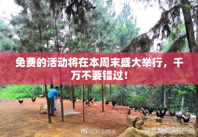 免费的活动将在本周末盛大举行，千万不要错过！