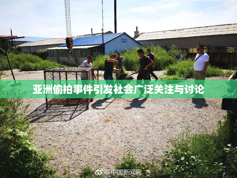亚洲偷拍事件引发社会广泛关注与讨论