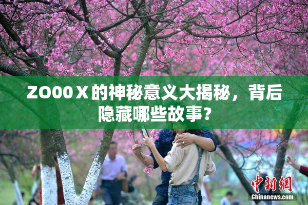 ZO00Ⅹ的神秘意义大揭秘，背后隐藏哪些故事？