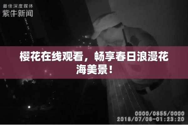 樱花在线观看，畅享春日浪漫花海美景！