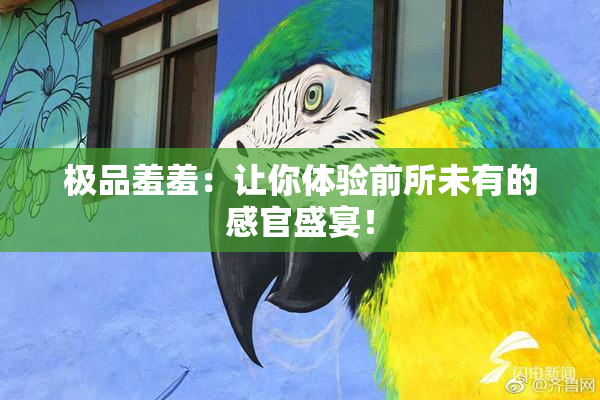极品羞羞：让你体验前所未有的感官盛宴！
