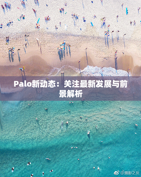 Palo新动态：关注最新发展与前景解析