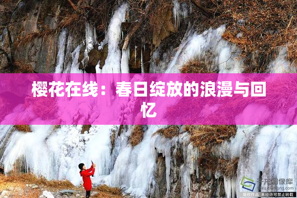樱花在线：春日绽放的浪漫与回忆