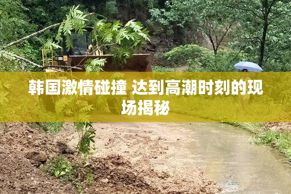 韩国激情碰撞 达到高潮时刻的现场揭秘