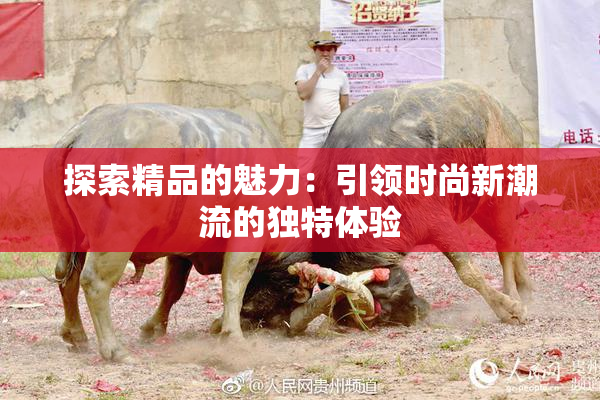 探索精品的魅力：引领时尚新潮流的独特体验