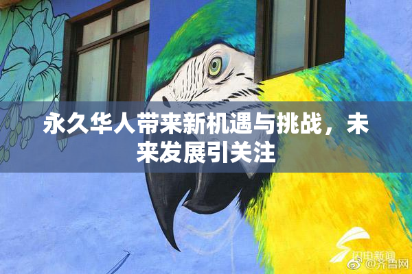 永久华人带来新机遇与挑战，未来发展引关注