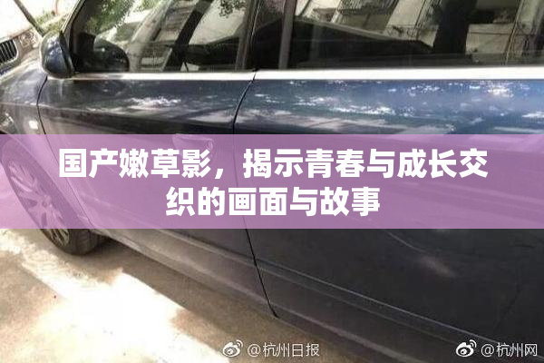 国产嫩草影，揭示青春与成长交织的画面与故事