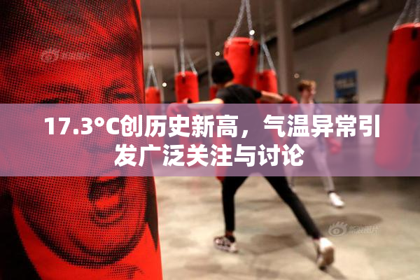 17.3°C创历史新高，气温异常引发广泛关注与讨论