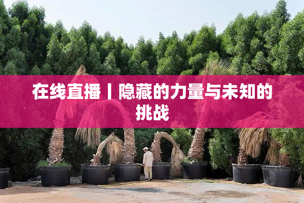 在线直播丨隐藏的力量与未知的挑战