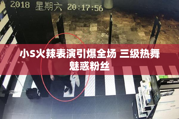 小S火辣表演引爆全场 三级热舞魅惑粉丝