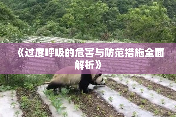 《过度呼吸的危害与防范措施全面解析》