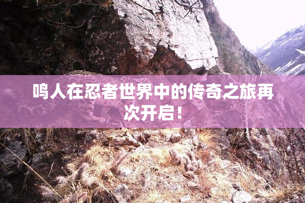 鸣人在忍者世界中的传奇之旅再次开启！