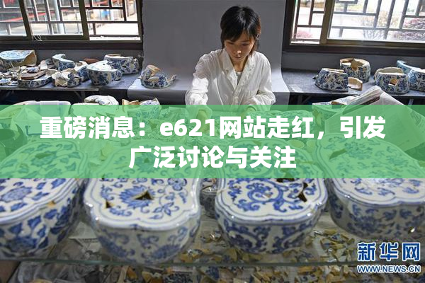 重磅消息：e621网站走红，引发广泛讨论与关注