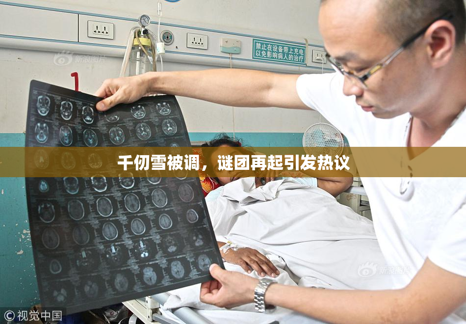 千仞雪被调，谜团再起引发热议