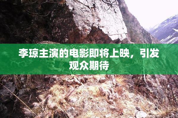 李琼主演的电影即将上映，引发观众期待