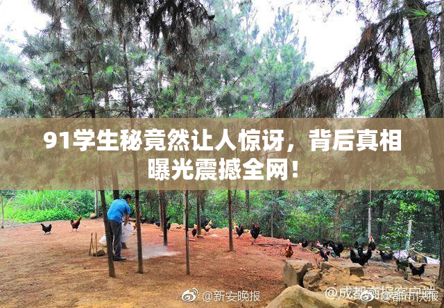 91学生秘竟然让人惊讶，背后真相曝光震撼全网！