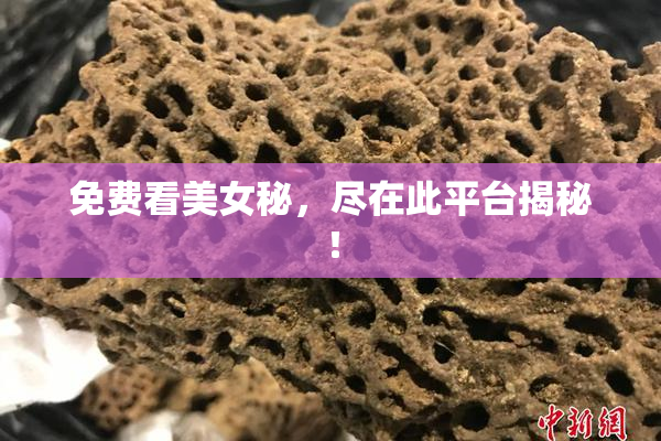 免费看美女秘，尽在此平台揭秘！