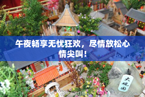 午夜畅享无忧狂欢，尽情放松心情尖叫！