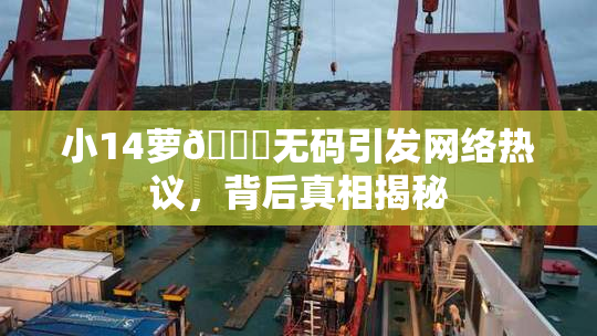 小14萝🔞无码引发网络热议，背后真相揭秘